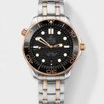 Omega Seamaster Super Clone 300M Master Chronometer Blue Swiss 2 Tone Watch