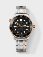 Omega Seamaster Super Clone 300M Master Chronometer Blue Swiss 2 Tone Watch