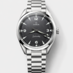 Omega Seamaster Railmaster Grey Dial Super Clone Watch